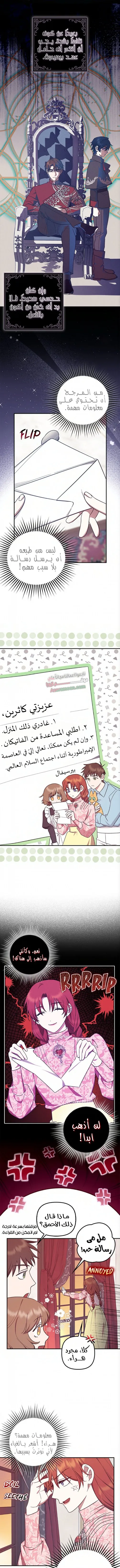 الصفحة 5