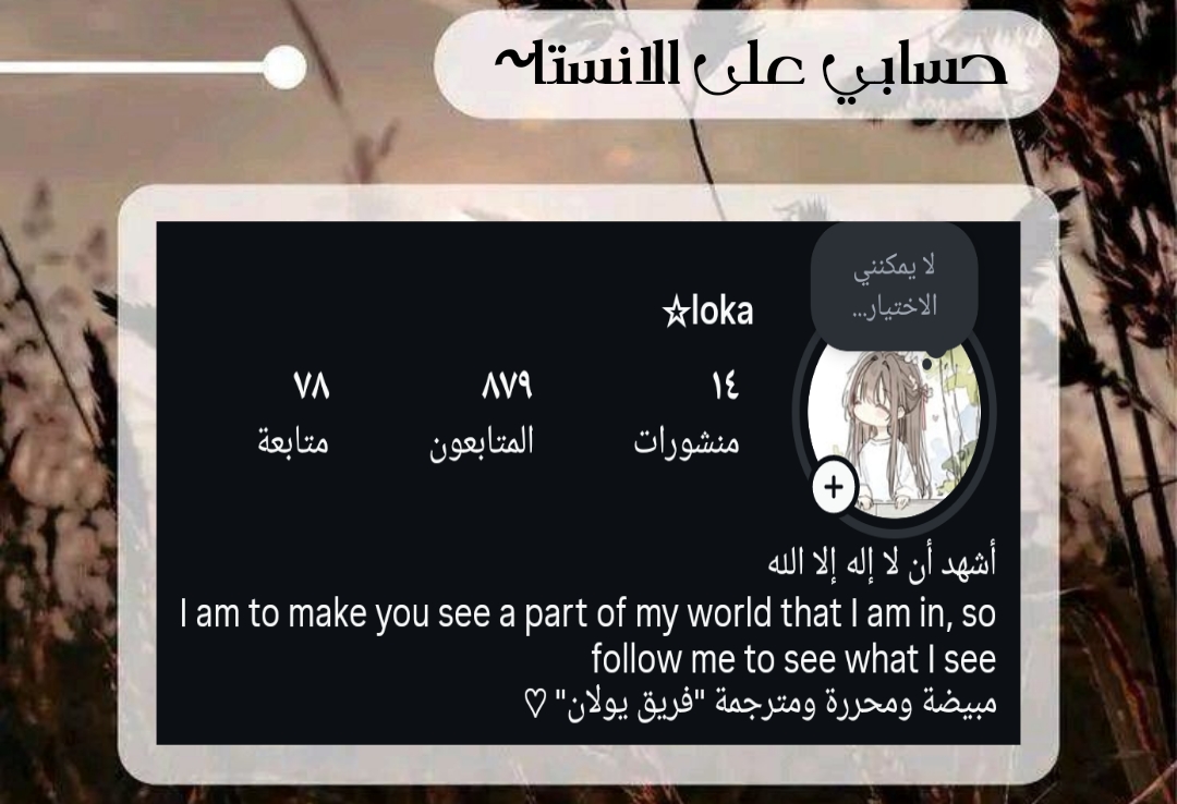 الصفحة 13