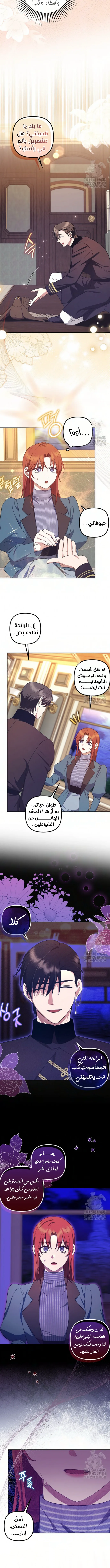 الصفحة 8