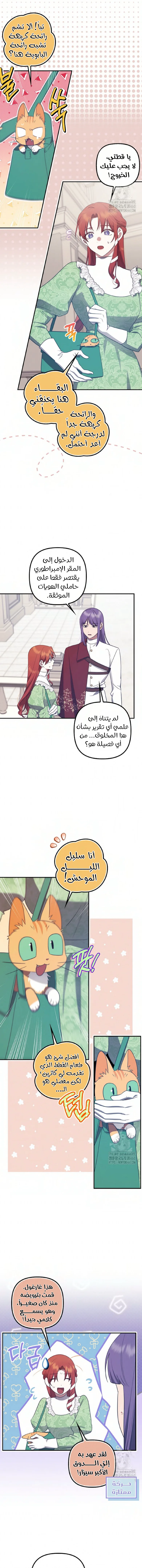 الصفحة 7