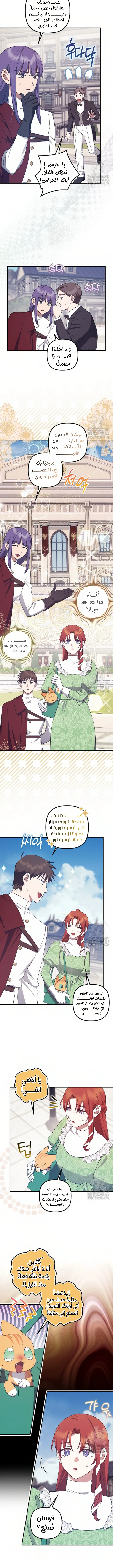 الصفحة 8