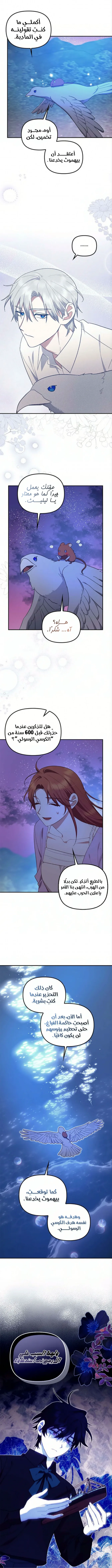 الصفحة 5