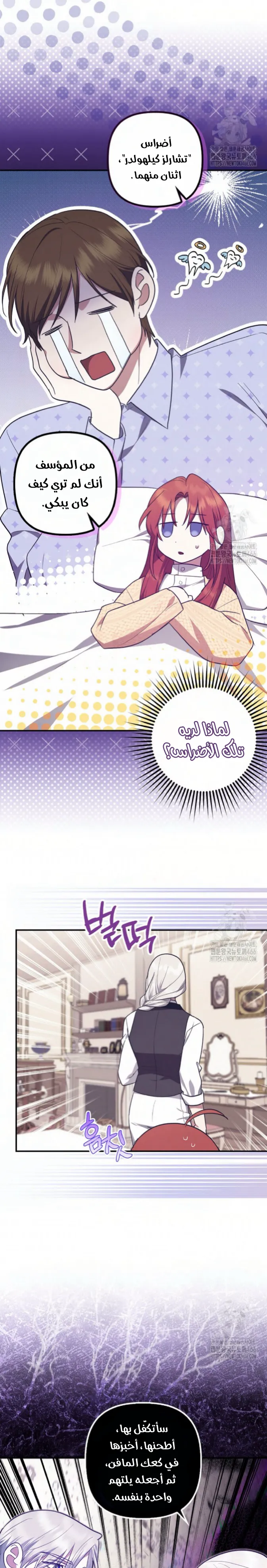 الصفحة 11