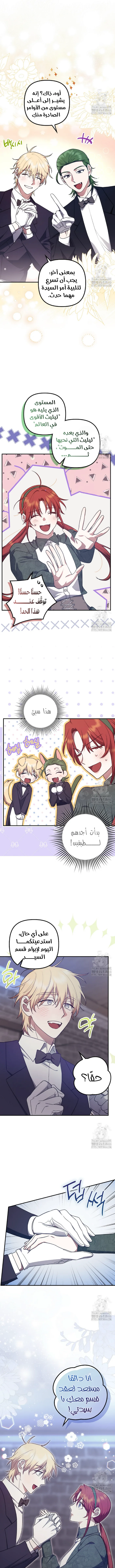 الصفحة 3