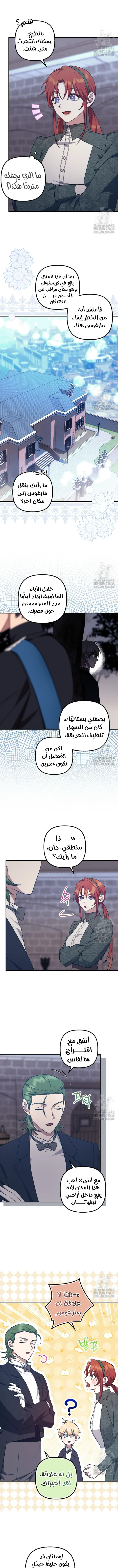 الصفحة 11