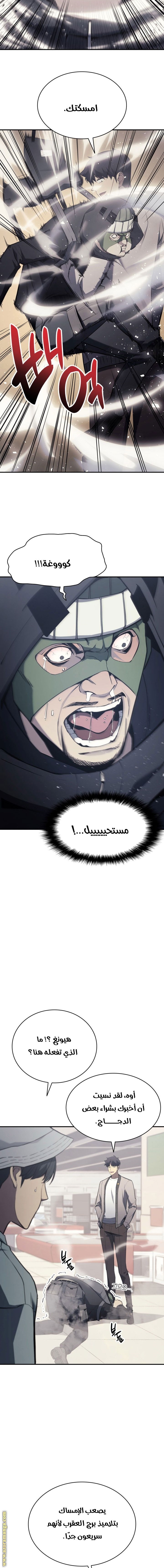 الصفحة 17