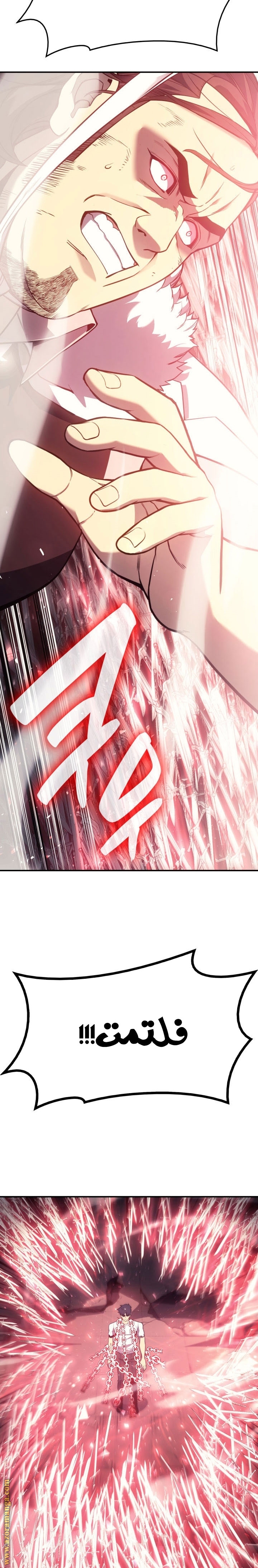 الصفحة 25