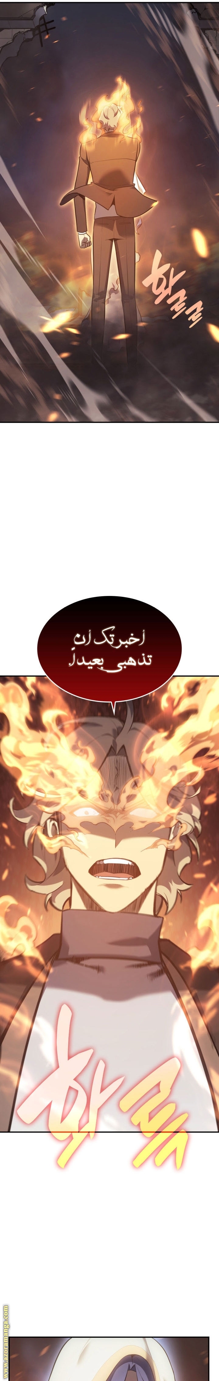 الصفحة 25