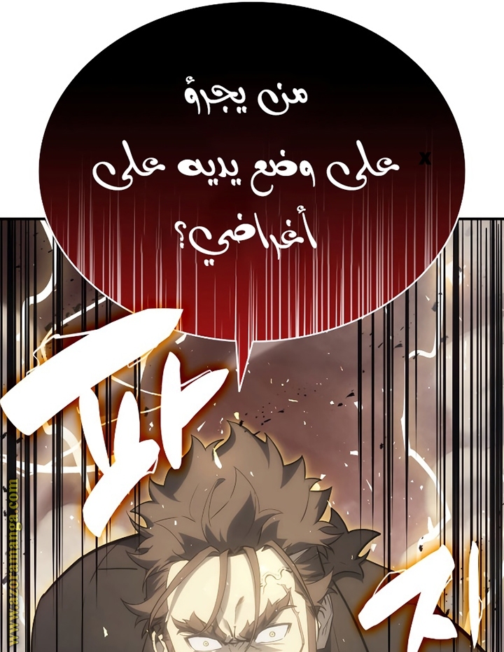 الصفحة 29