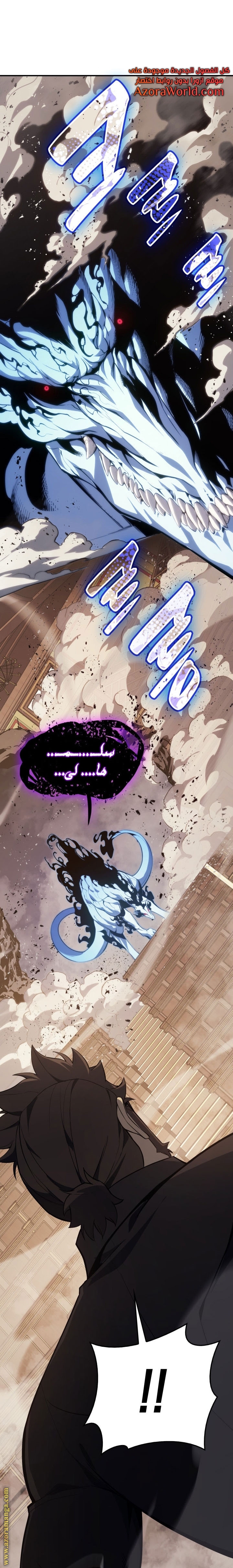 الصفحة 17