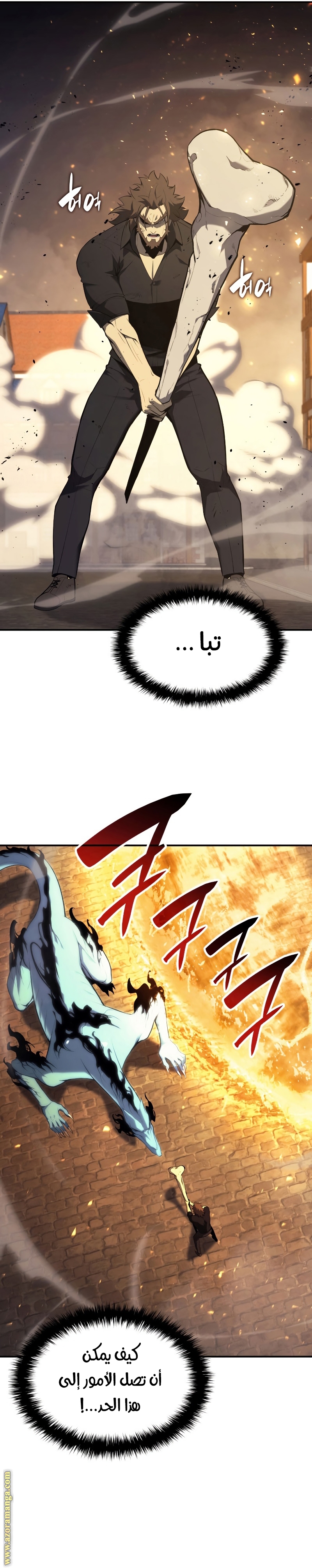 الصفحة 16