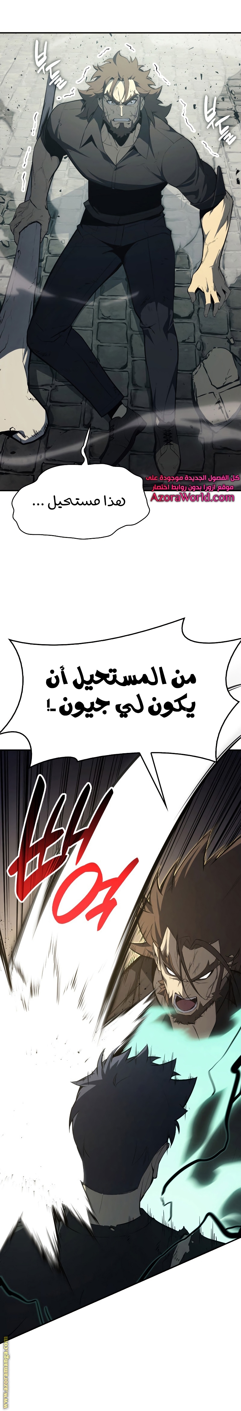 الصفحة 29