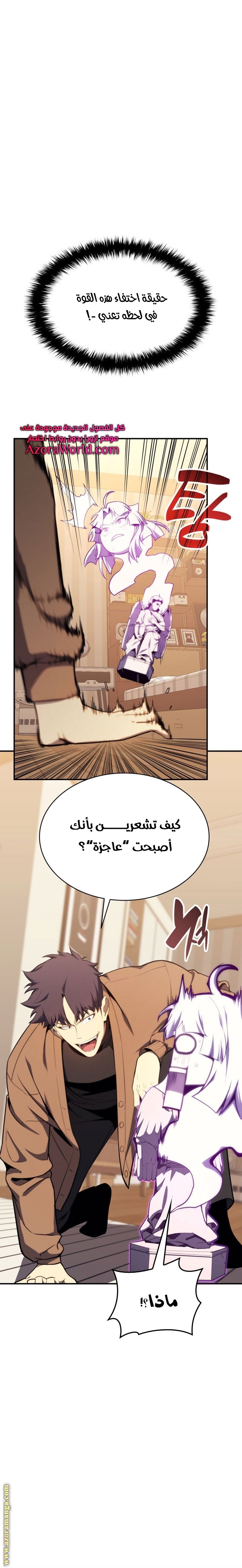 الصفحة 13