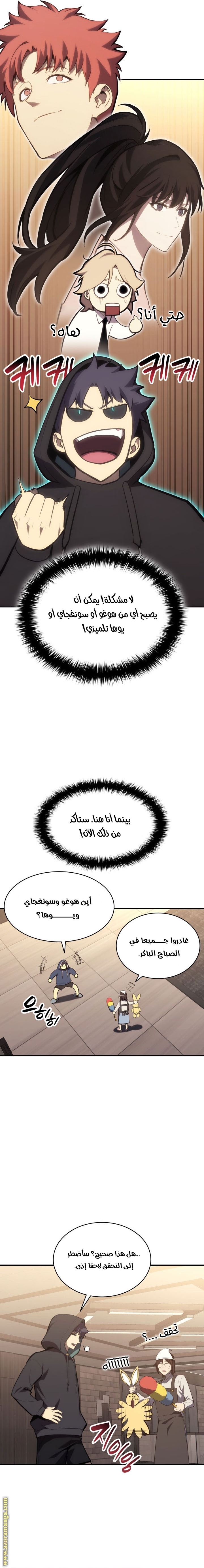 الصفحة 17