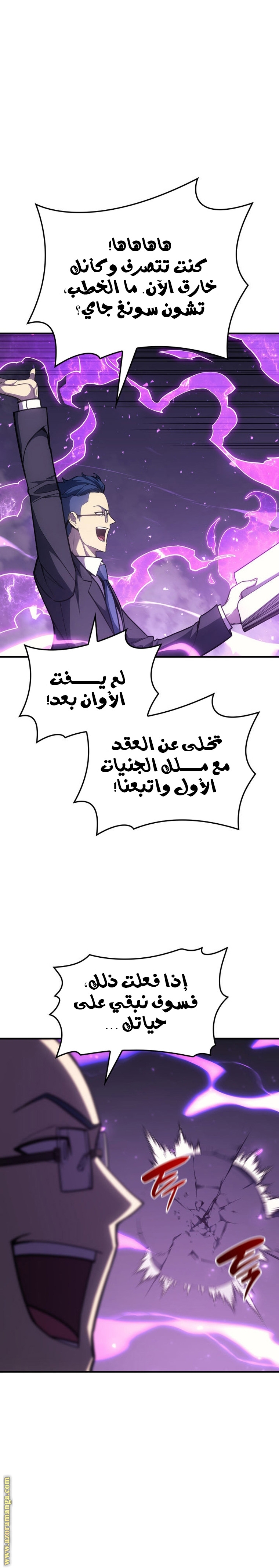 الصفحة 13