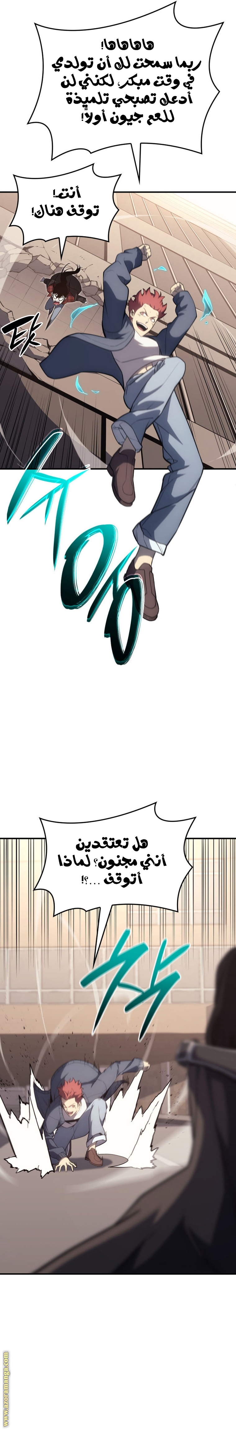 الصفحة 29