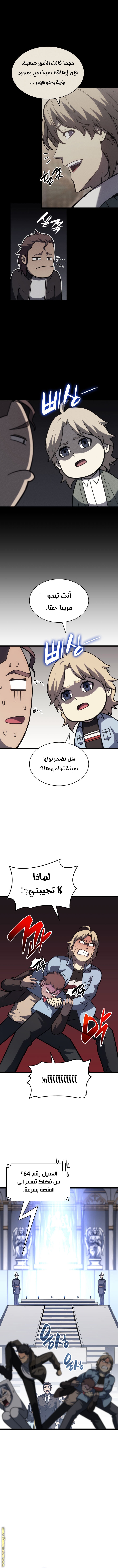 الصفحة 13
