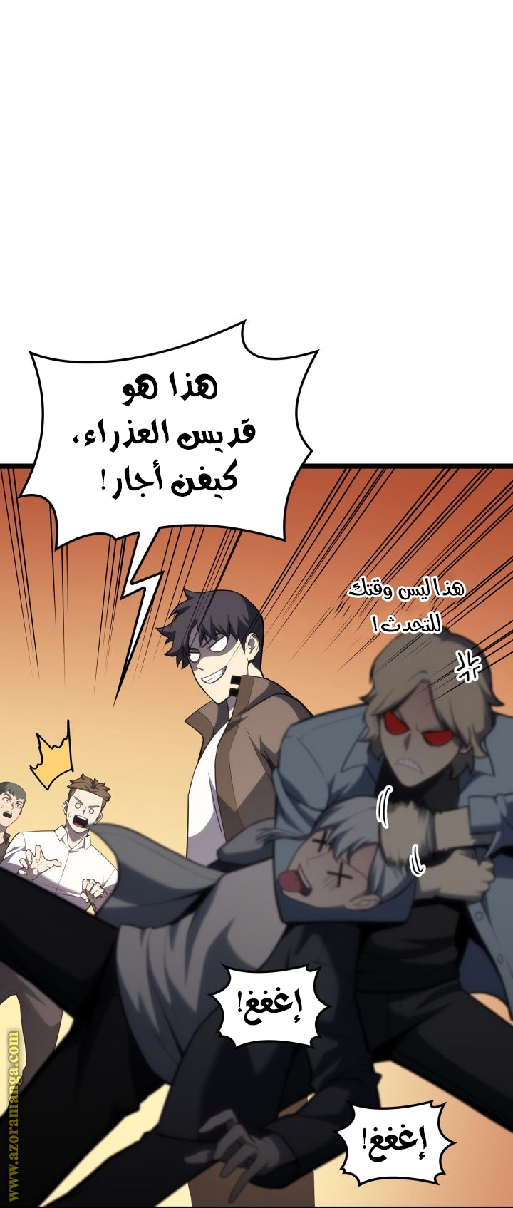 الصفحة 17