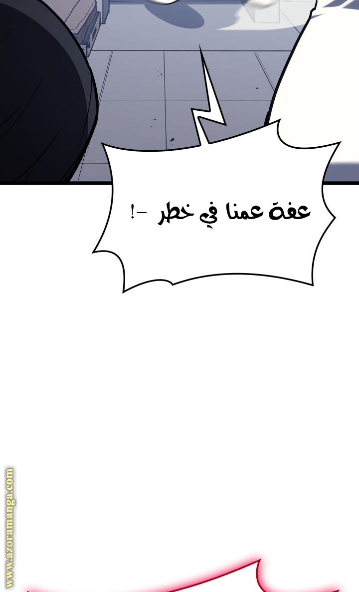 الصفحة 43