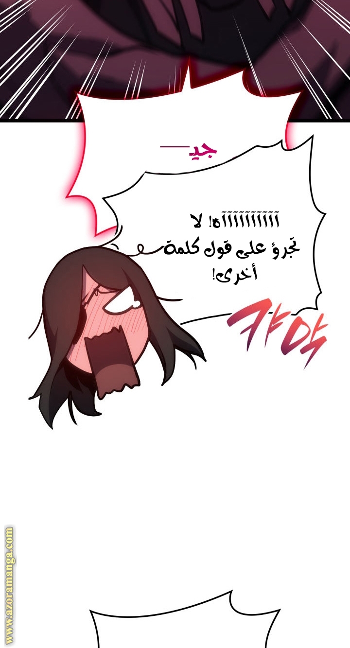 الصفحة 47