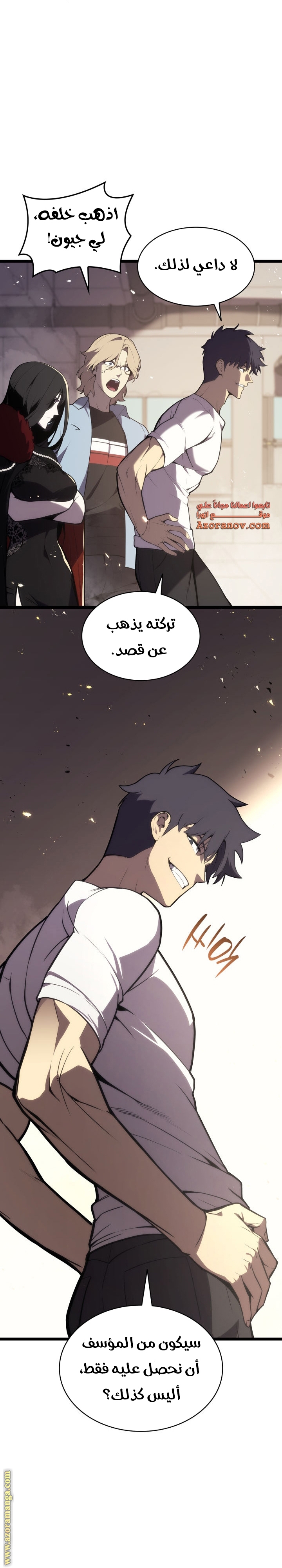 الصفحة 13