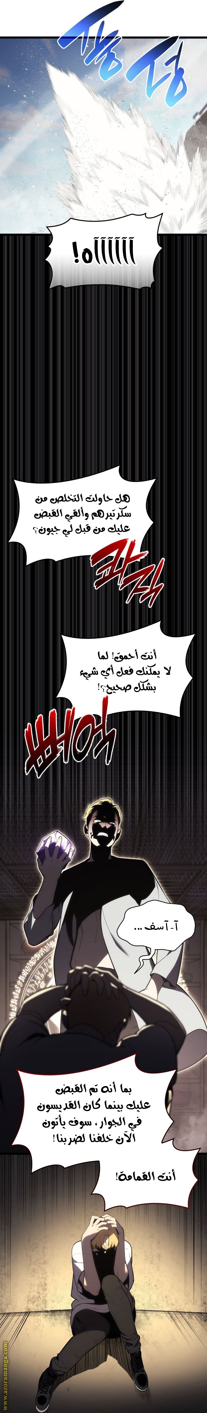 الصفحة 17