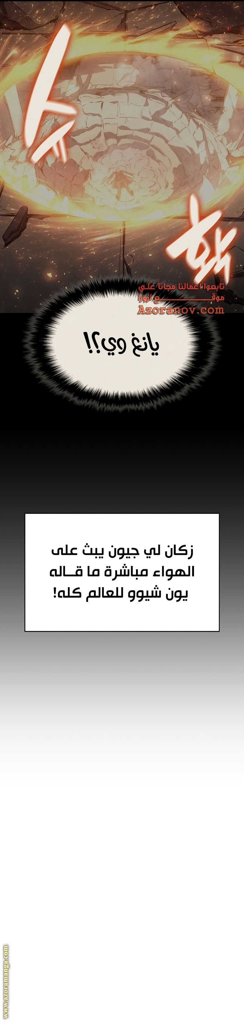 الصفحة 17