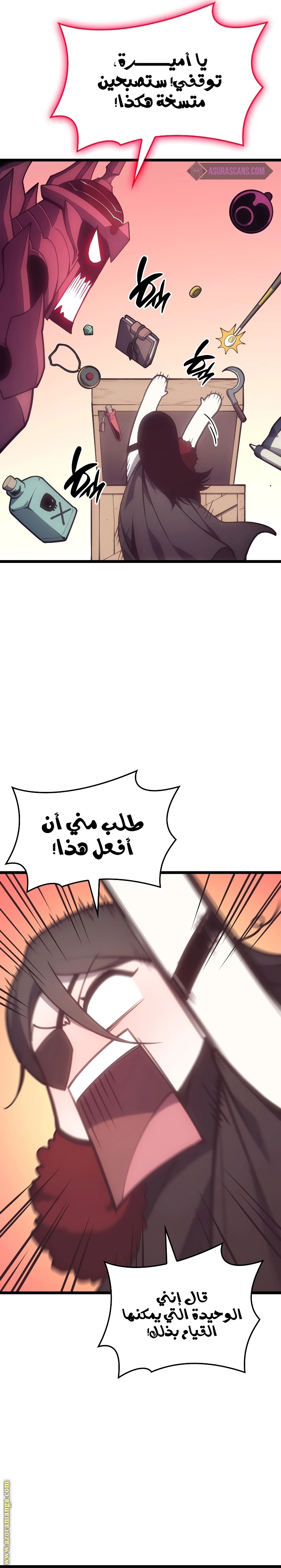 الصفحة 17