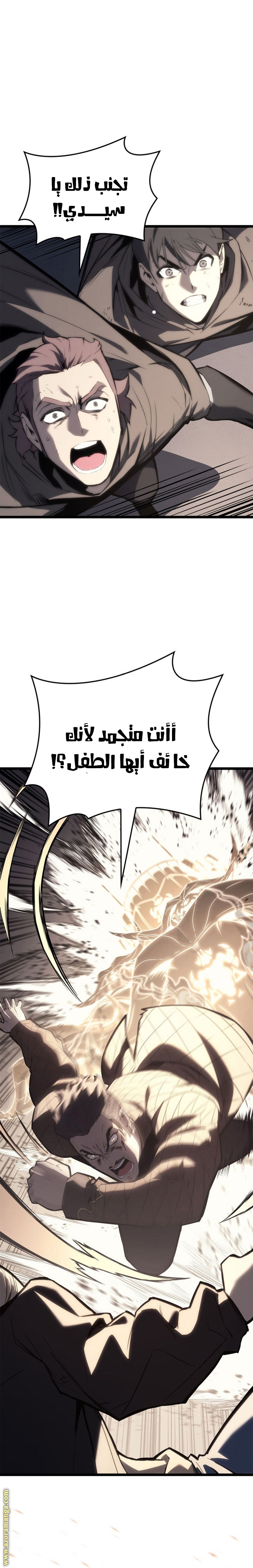 الصفحة 29