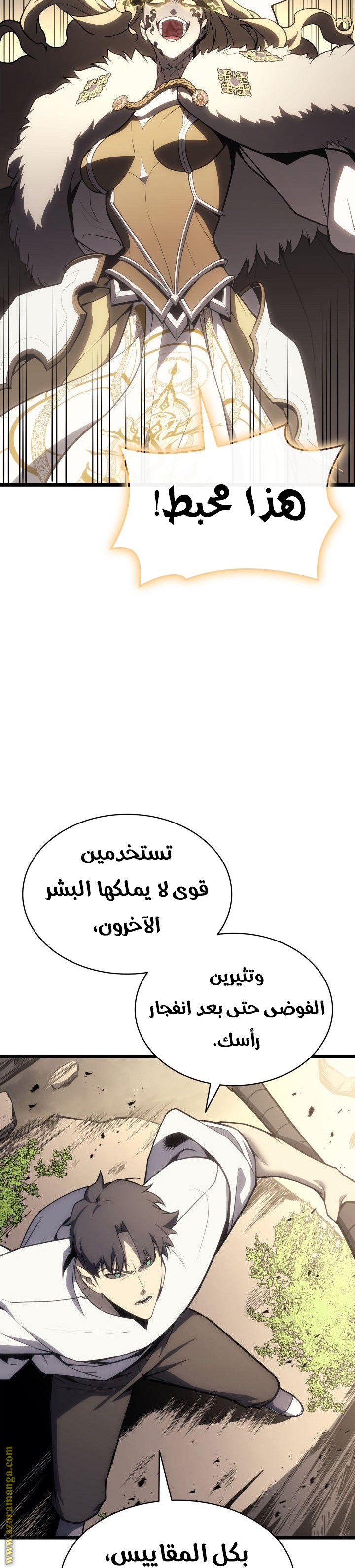 الصفحة 13