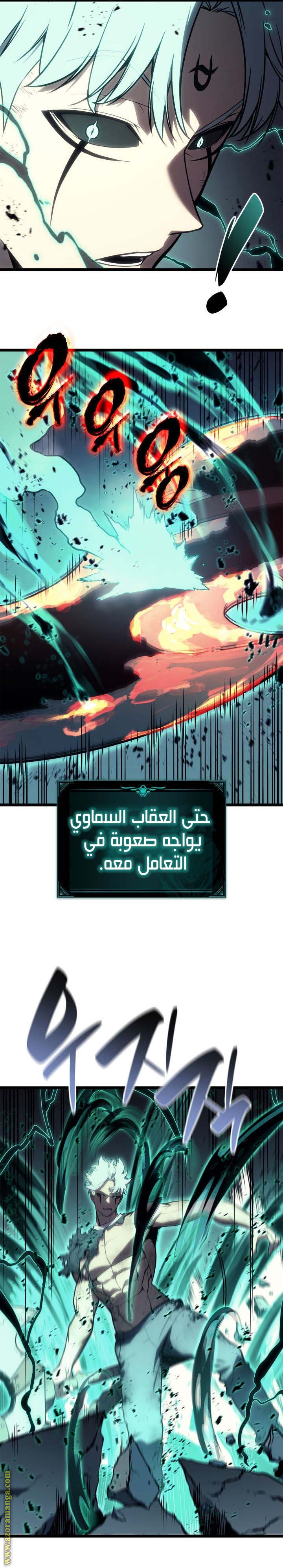 الصفحة 13
