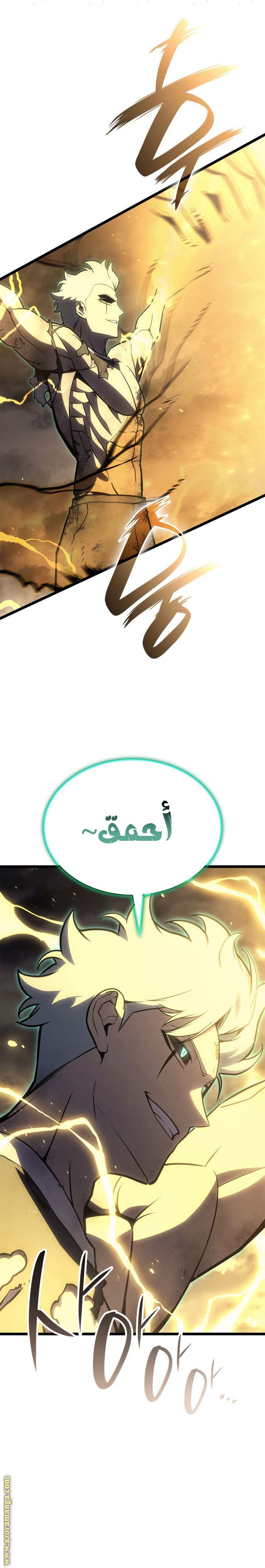الصفحة 29