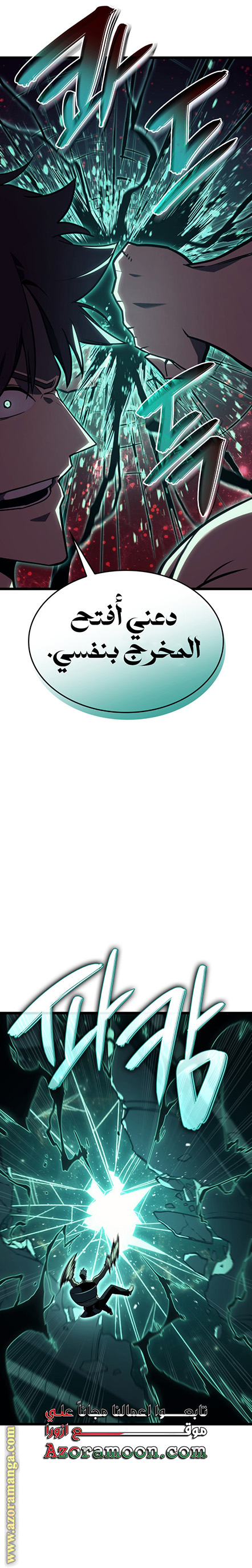 الصفحة 17