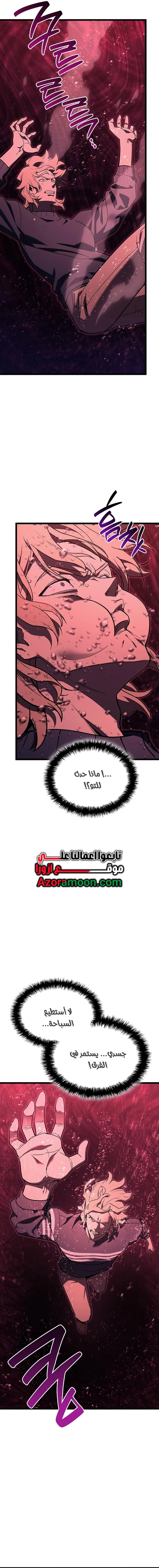 الصفحة 13