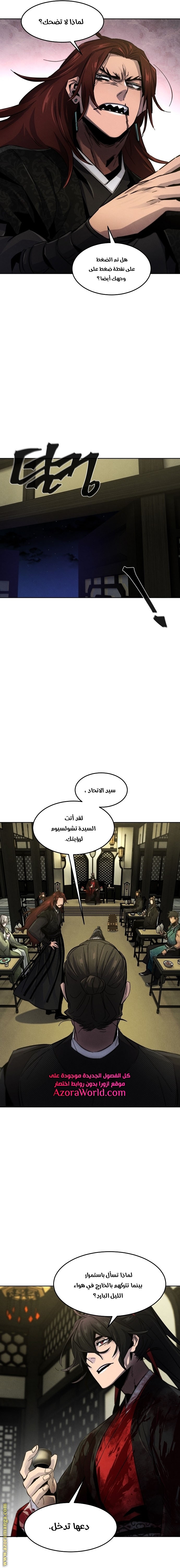 الصفحة 17