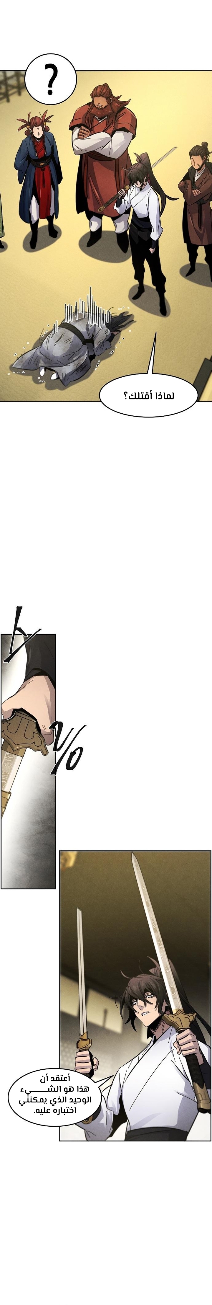 الصفحة 17