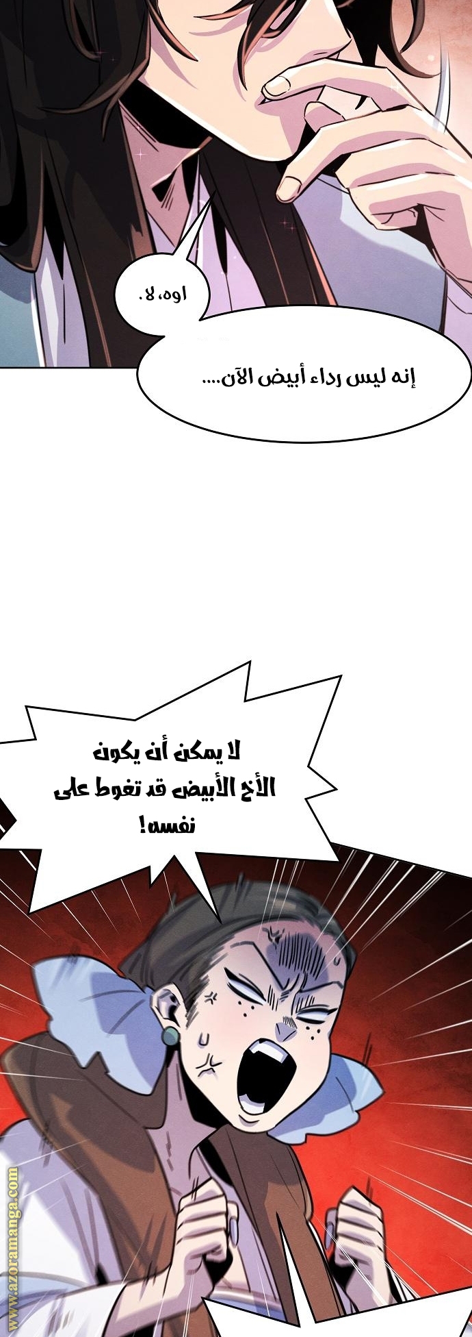 الصفحة 25