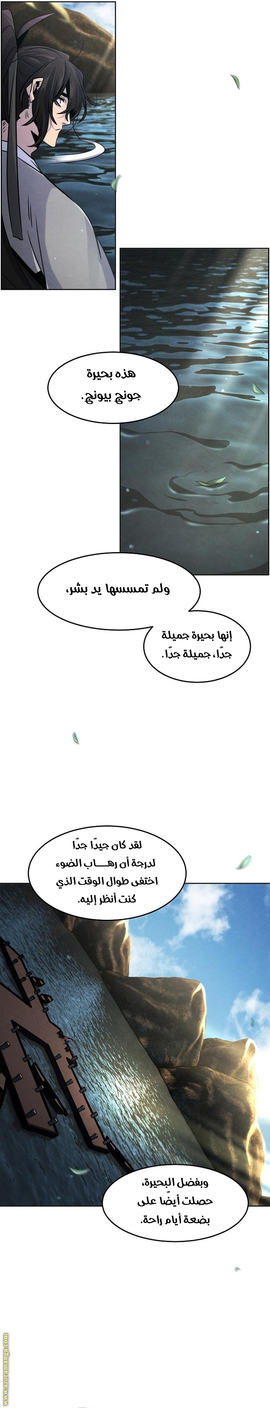 الصفحة 17