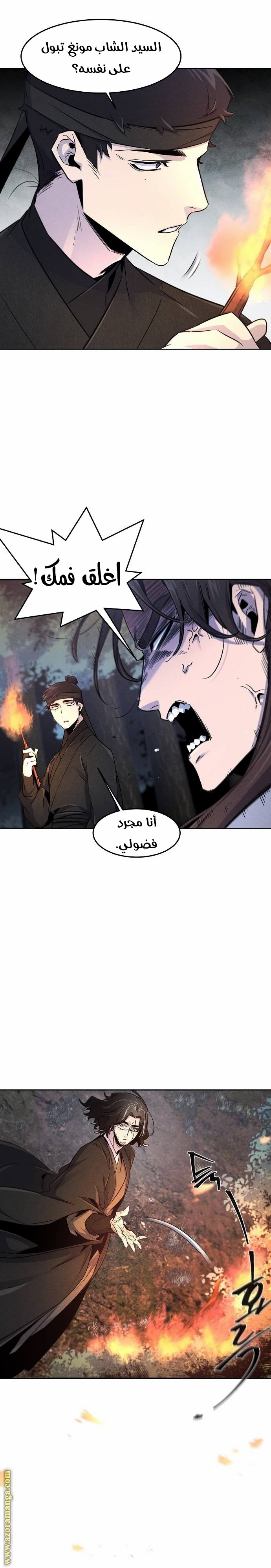 الصفحة 17