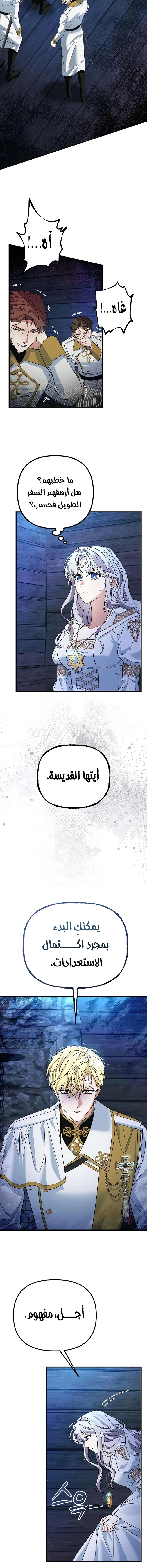 الصفحة 12
