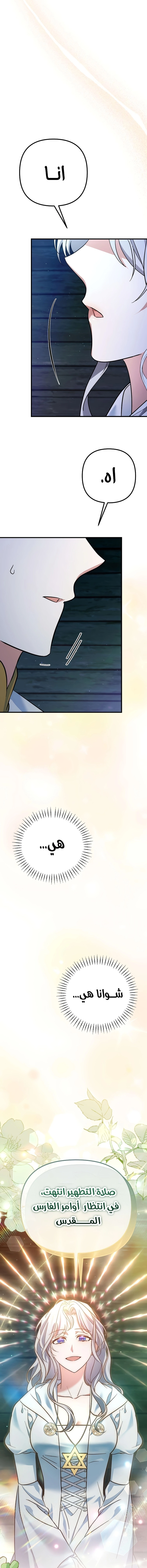 الصفحة 19