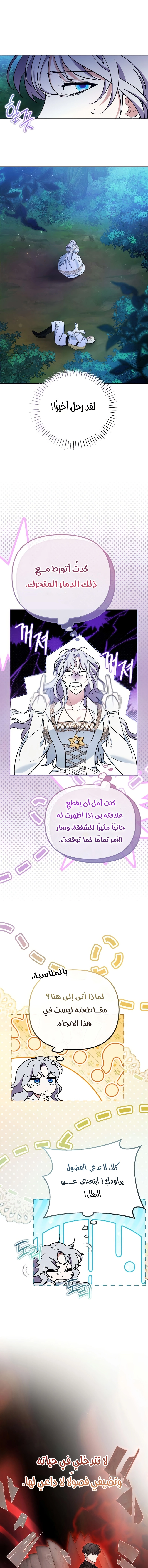 الصفحة 14