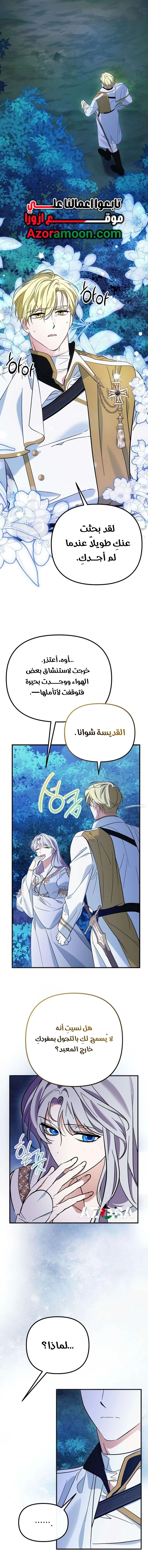 الصفحة 11