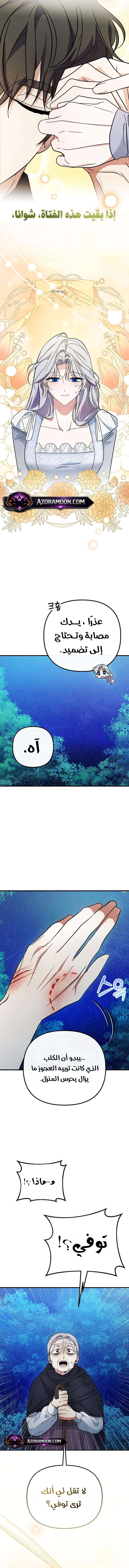 الصفحة 8