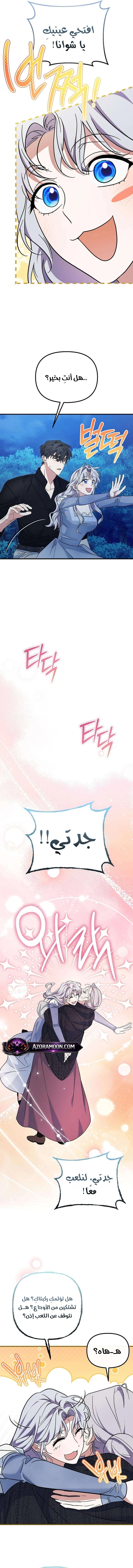 الصفحة 12