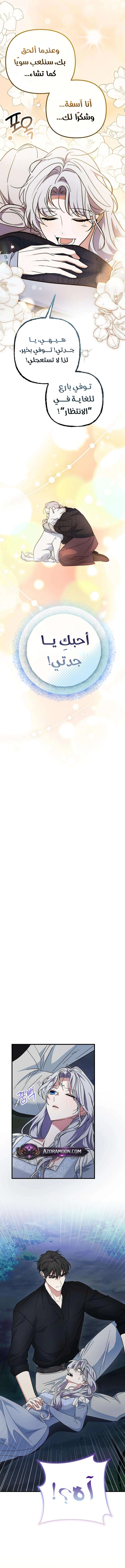 الصفحة 14
