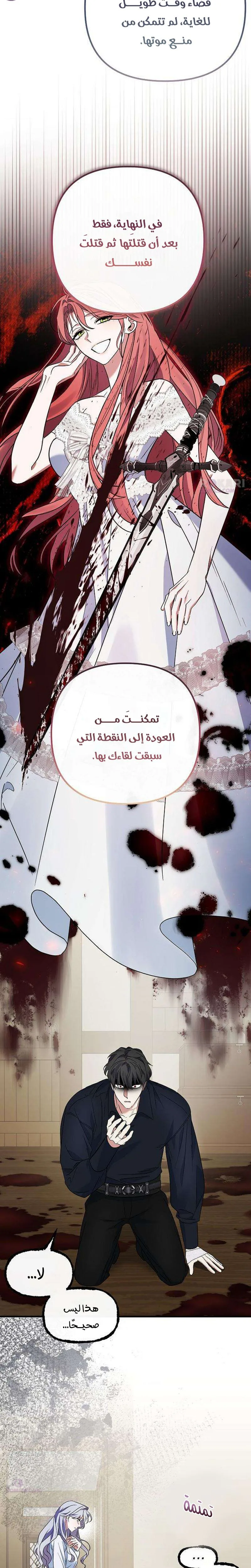 الصفحة 17