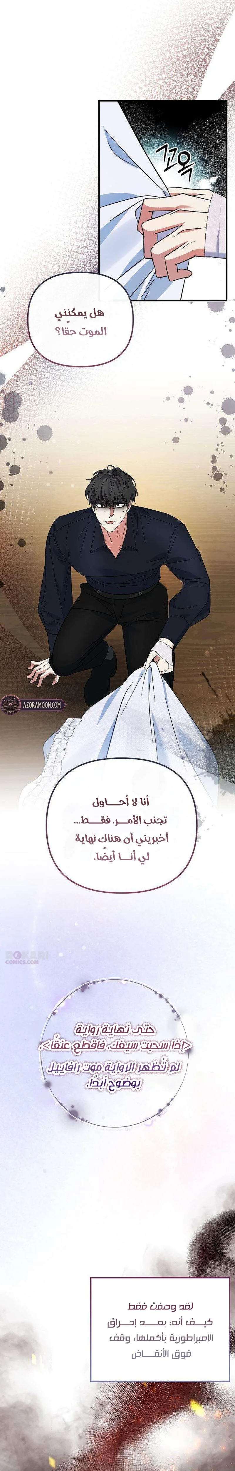 الصفحة 19