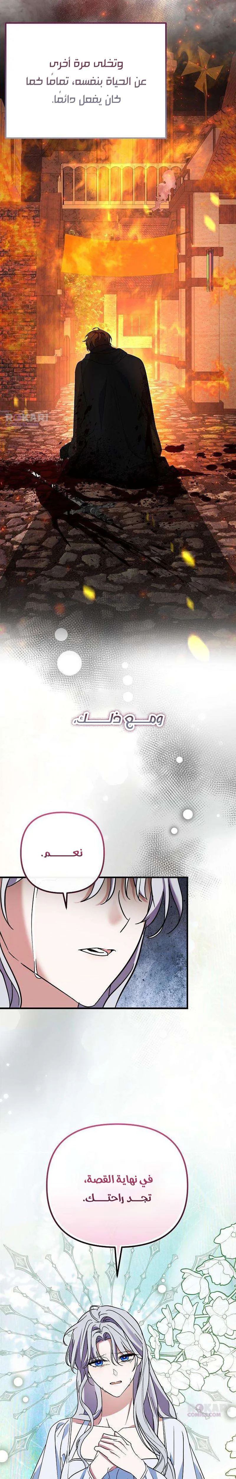 الصفحة 20