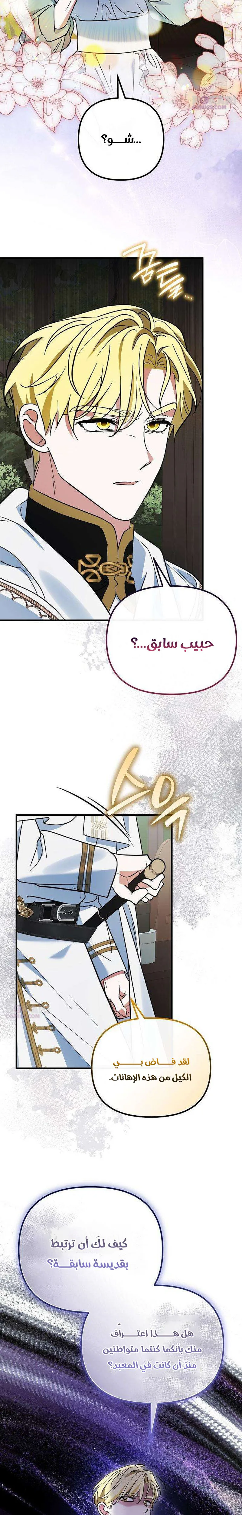 الصفحة 11